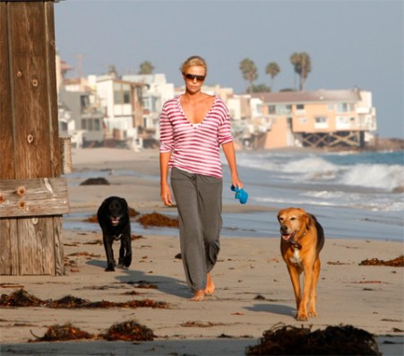 charlize_theron_shit