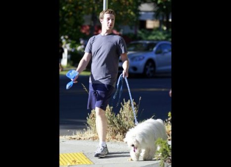 Zuckslide_189527_345996_large